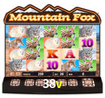 38v -  - 38v plataforma